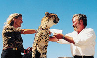 Cheetah Outreach