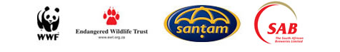 Our Strategic Partners Logos