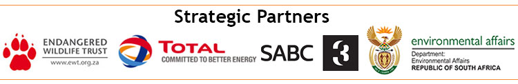 Our Strategic Partners Logos