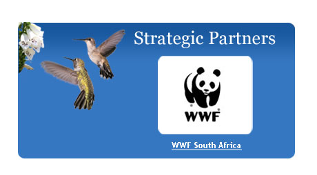 WWF